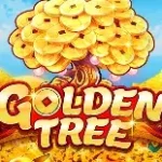 icon-爱尚体育体育